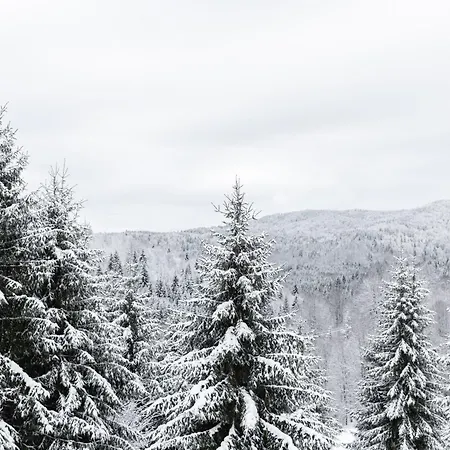 Glecer Kop, A14, Free Parking Garage דירה *