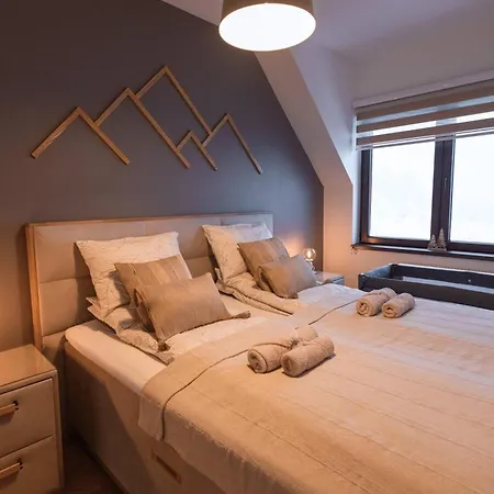 公寓 Glecer Kop, A14, Free Parking Garage 科帕奥尼克