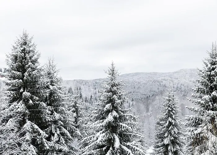 Glecer Kop, A14, Free Parking Garage 公寓 *