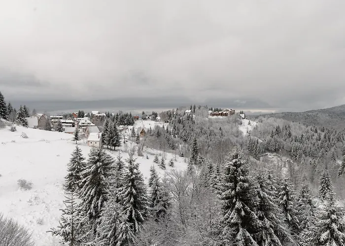 Glecer Kop, A14, Free Parking Garage * 科帕奥尼克